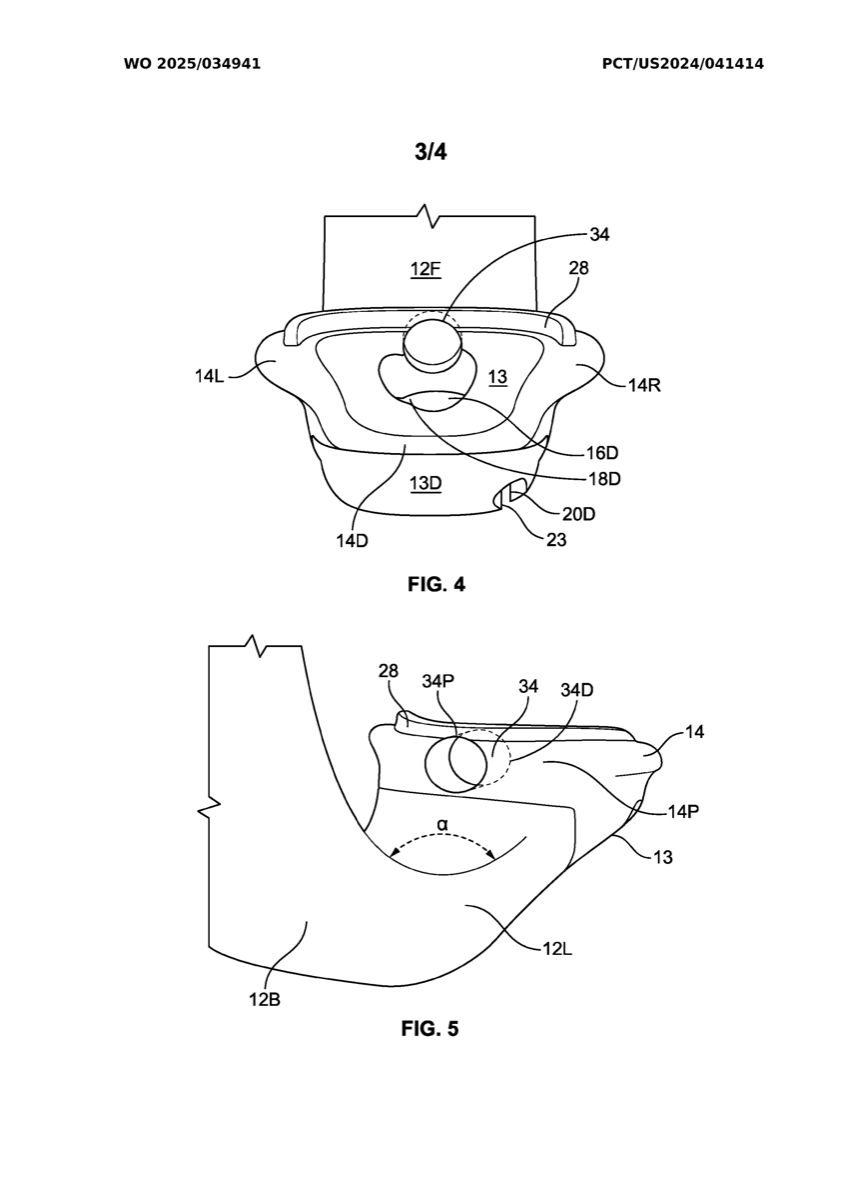 WO2025034941A2 原专利附图 Fig.4 和 Fig.5
